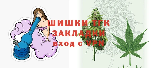 молекула духа Богородск