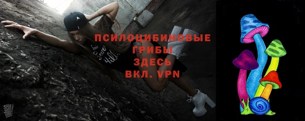 молекула духа Богородск
