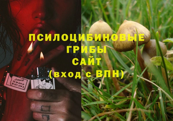 герыч Богородицк