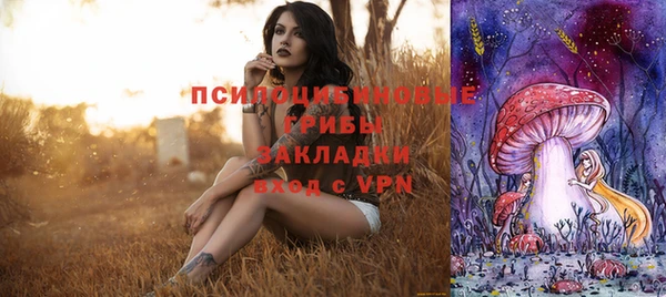 молекула духа Богородск
