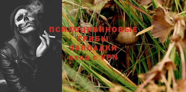 прущая мука Богданович