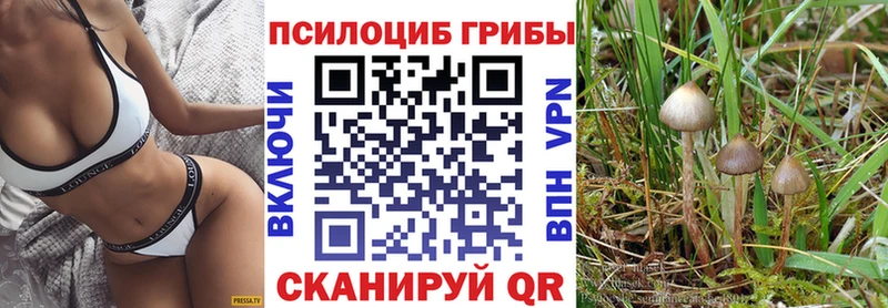 где можно купить   Мариинский Посад  Галлюциногенные грибы прущие грибы 